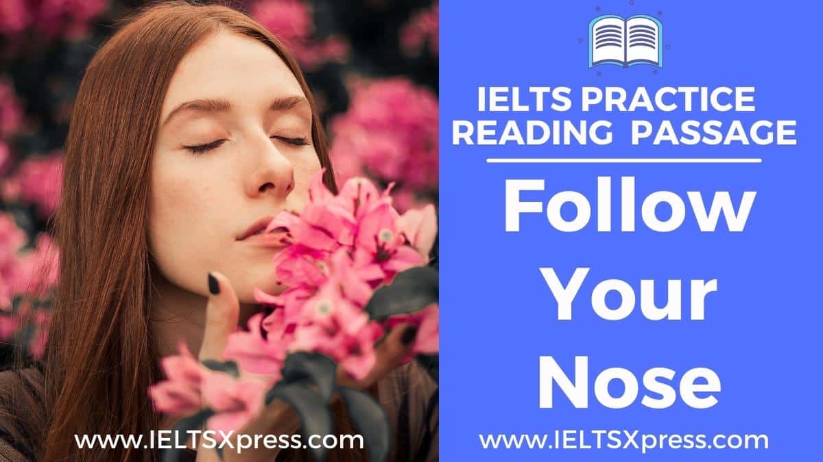 follow your nose ielts reading passage answers
