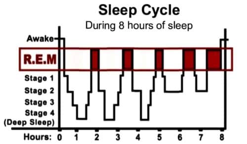 what are dreams ielts reading passage answers