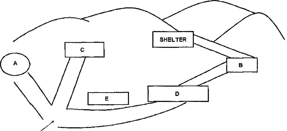 Mount Rushmore shelter ielts listening
