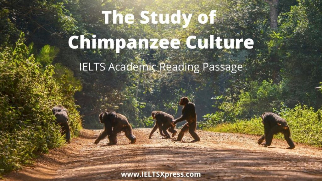 The Study of Chimpanzee Culture ielts reading answers