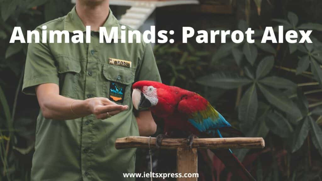 Animal Minds Parrot Alex ielts reading academic