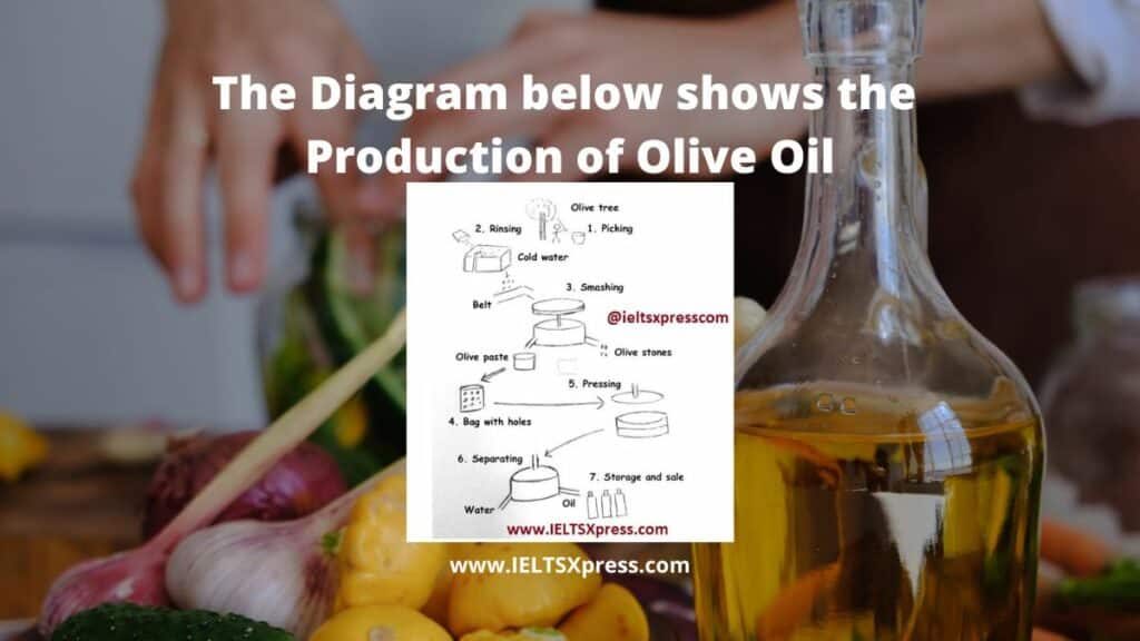 The Diagram below shows the Production of Olive Oil ielts process diagram