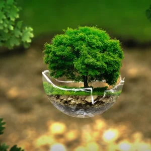 IELTS Vocabulary Environment 1