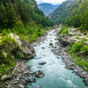 IELTS Vocabulary Environment